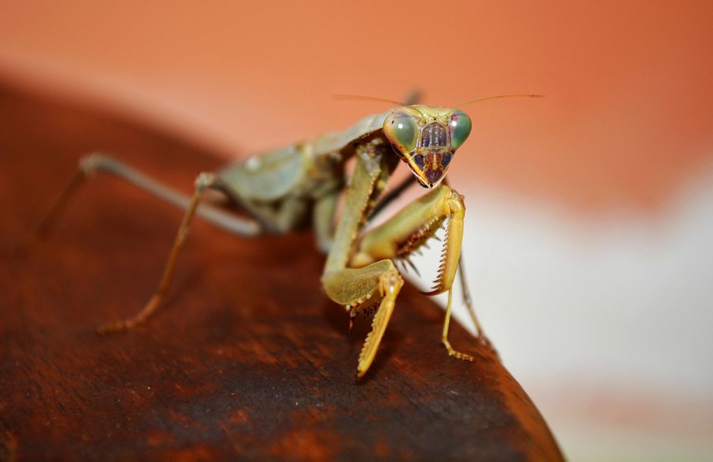 découvrez les solutions aux problèmes courants de chatgpt et comment résoudre rapidement les bugs pour une expérience optimale.