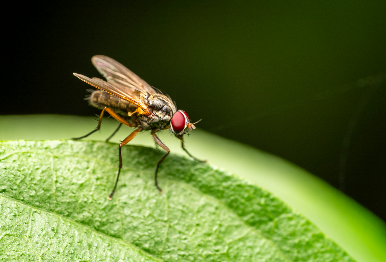 découvrez les solutions aux bugs fréquents de chatgpt et comment optimiser son utilisation pour une expérience sans interruption.