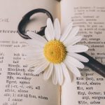 gpt translator : un outil puissant de traduction automatique utilisant l'intelligence artificielle pour des traductions rapides et précises dans de nombreuses langues.