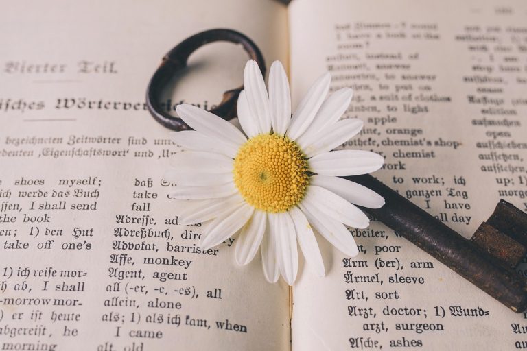 gpt translator : un outil puissant de traduction automatique utilisant l'intelligence artificielle pour des traductions rapides et précises dans de nombreuses langues.